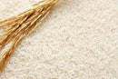 Grains ROYAL Organic Sona Masoori Rice, 20 lb bag