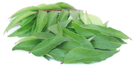 Leaves Curry Leaves / Karivepaku / Kadipatta, 1 packet