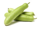 Gourd Squash / Opo Squash / Dudhi / Louki / Bottle Gourd, per lb