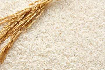 Grains Sona Masoori Rice