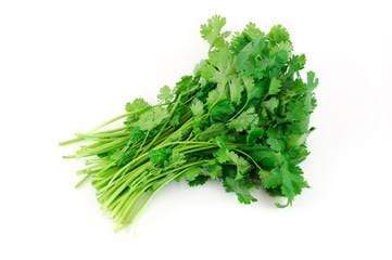 Herbs/Leaves Cilantro / Hara Dhania / Kotimira, 1 each