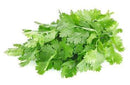Herbs/Leaves Cilantro / Hara Dhania / Kotimira, 1 each