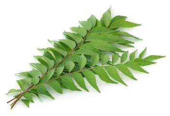 Herbs/Leaves Curry Leaves / Karivepaku / Kadipatta, 1 packet