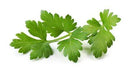 Leaf Parsley, 1 each