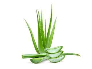 Leafy Vegetables Aloe Vera, per lb