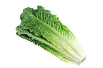 Leafy Vegetables Lettuce, 1 each