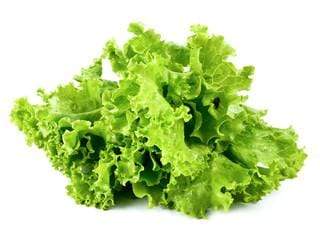 Leafy Vegetables Lettuce, 1 each