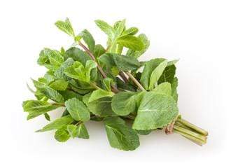 Leafy Vegetables Mint Leaves / Pudina Leaves, 1 each