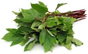 Leaves Gongura Leaves, per lb