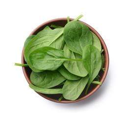 Leaves Spinach / Paalak, 1 each