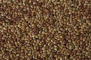 Lentils HORSE GRAM