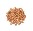 Lentils MASOOR WHOLE