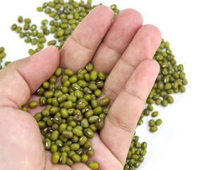 Lentils SMALL MOONG WHOLE