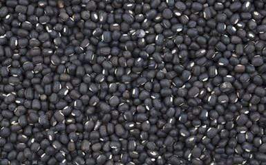 Lentils URAD WHOLE (BLACK MAPTE BEANS)