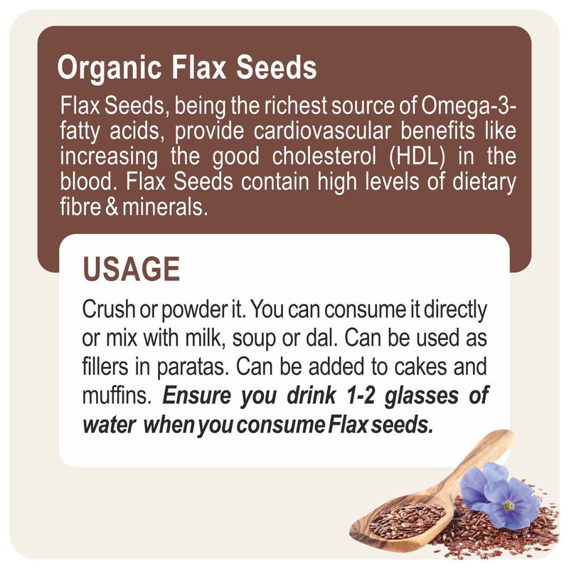 Organic Spices 200 Gm Organic Flax Seed