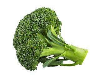 Plants Broccoli, 1 each