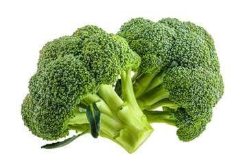 Plants Broccoli, 1 each
