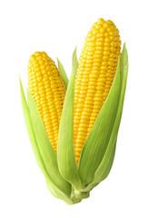 Produce Fresh Corn, 1 each