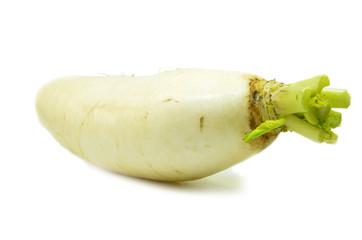 Produce Raddish / Muli / Mullangi White (No Leaves), per lb