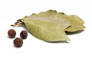 Spices Bay Leaves
