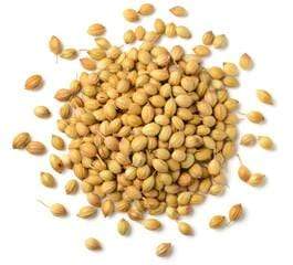 Spices 7 OZ / GAYATRI Coriander Seeds