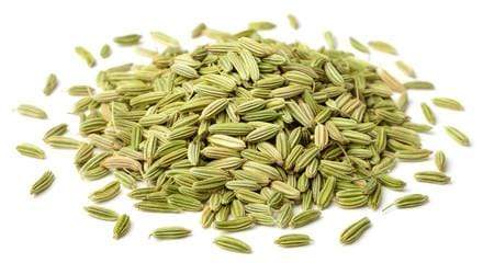 Spices Fennel Seeds