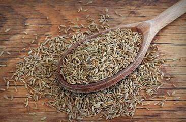 Spices Fennel Seeds Roasted