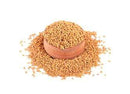 Spices Methi Seeds (Fenugreek Seeds)