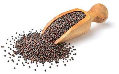 Spices Mustard Seeds Big